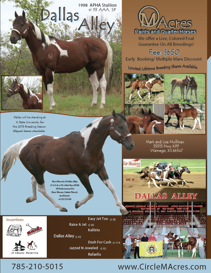 Circle M Acres Stallion Flyer